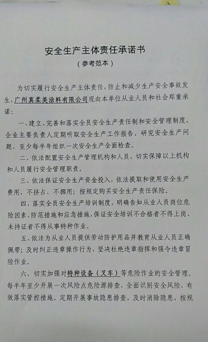 安全生产主体责任承诺书（一）
